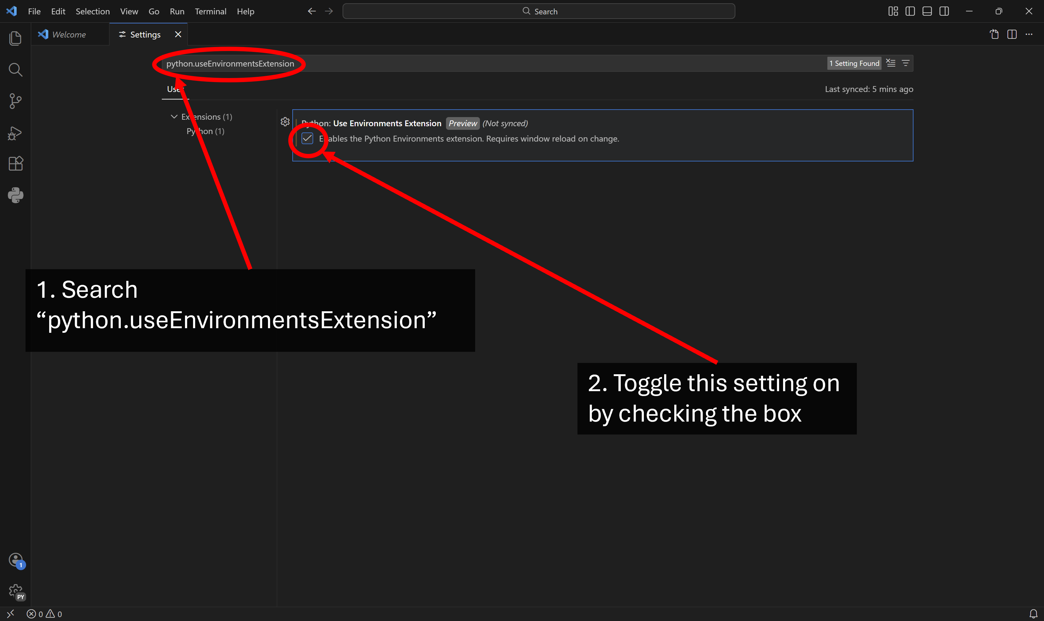 _images/vscode_useenvext.png