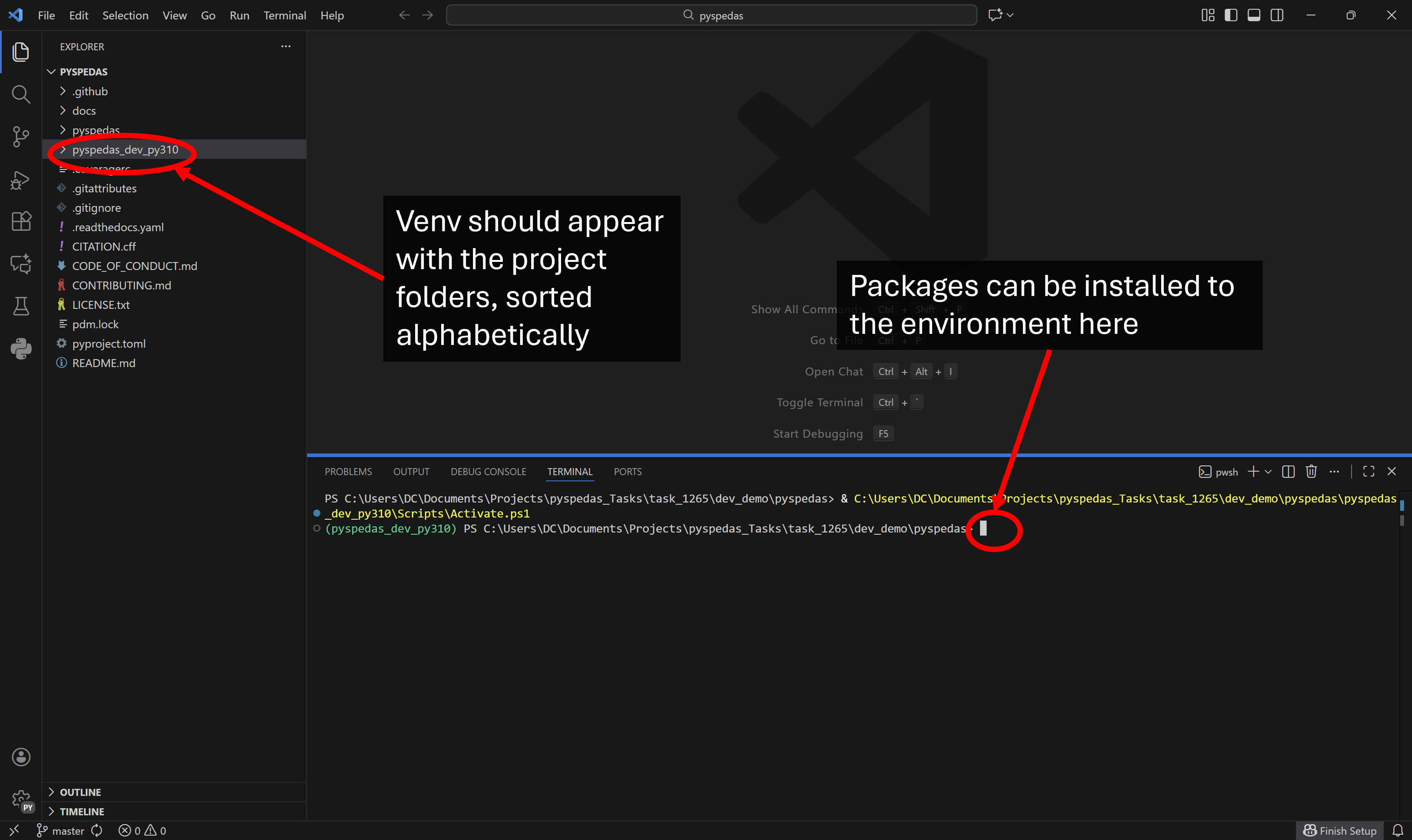 _images/vscode_terminalpane.png